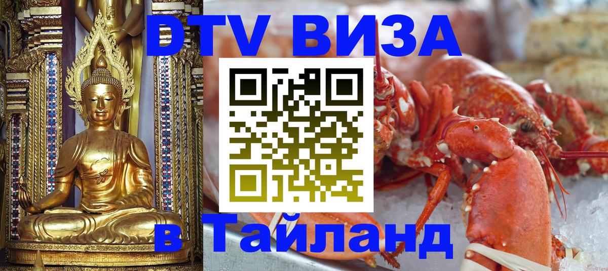 Оформление DTV визы под ключ: стоимость и тарифы, только загранпаспорт - Душанбе 